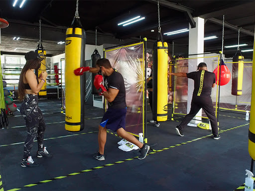 Academia de Box Pygmakhia