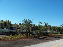 Jupiter Lawn Care - Photo 6 - Car repair in , West Palm Beach