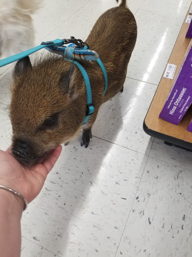 Pet Supply Store «Chow Hound Pet Supplies», reviews and photos, 518 N Beacon Blvd, Grand Haven, MI 49417, USA