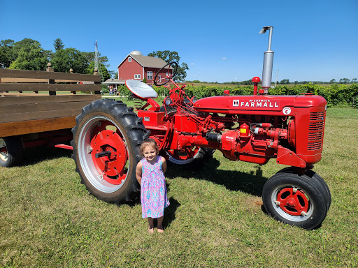 Winery «McEachran Homestead Winery», reviews and photos, 1917 Wyman School Rd, Caledonia, IL 61011, USA