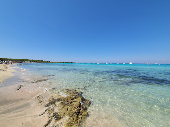 Plaża Punta Pizzo