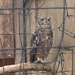 Photo n° 2 de l'avis de Barbra. fait le 07/08/2022 à 19:44 pour JURAFAUNE à Hauteroche