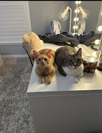 The Critter Sitter llc - Photo 1 - Car repair in , Spring Hill