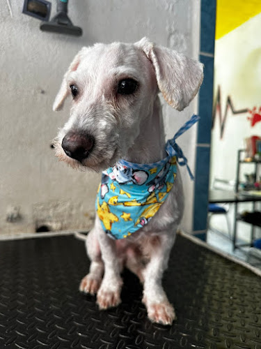 Clínica veterinaria Blue Vet