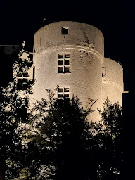 Photo n°33 de L'Auberge Des Isles à Montreuil-Bellay ()
