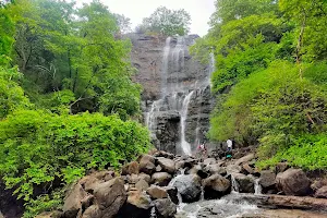 GavliDev Waterfall & Bird Sanctuary image