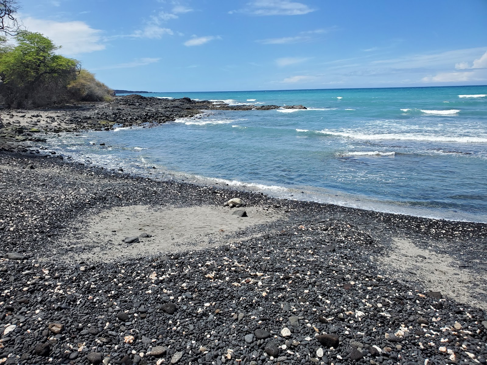 Kiholo Bay Beach'in fotoğrafı vahşi alan