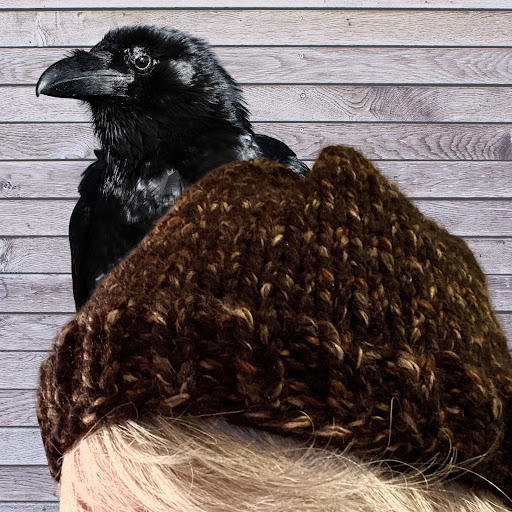 Pet Supply Store «theDogWorks/cats2», reviews and photos, 195 Thurman Ave, Columbus, OH 43206, USA