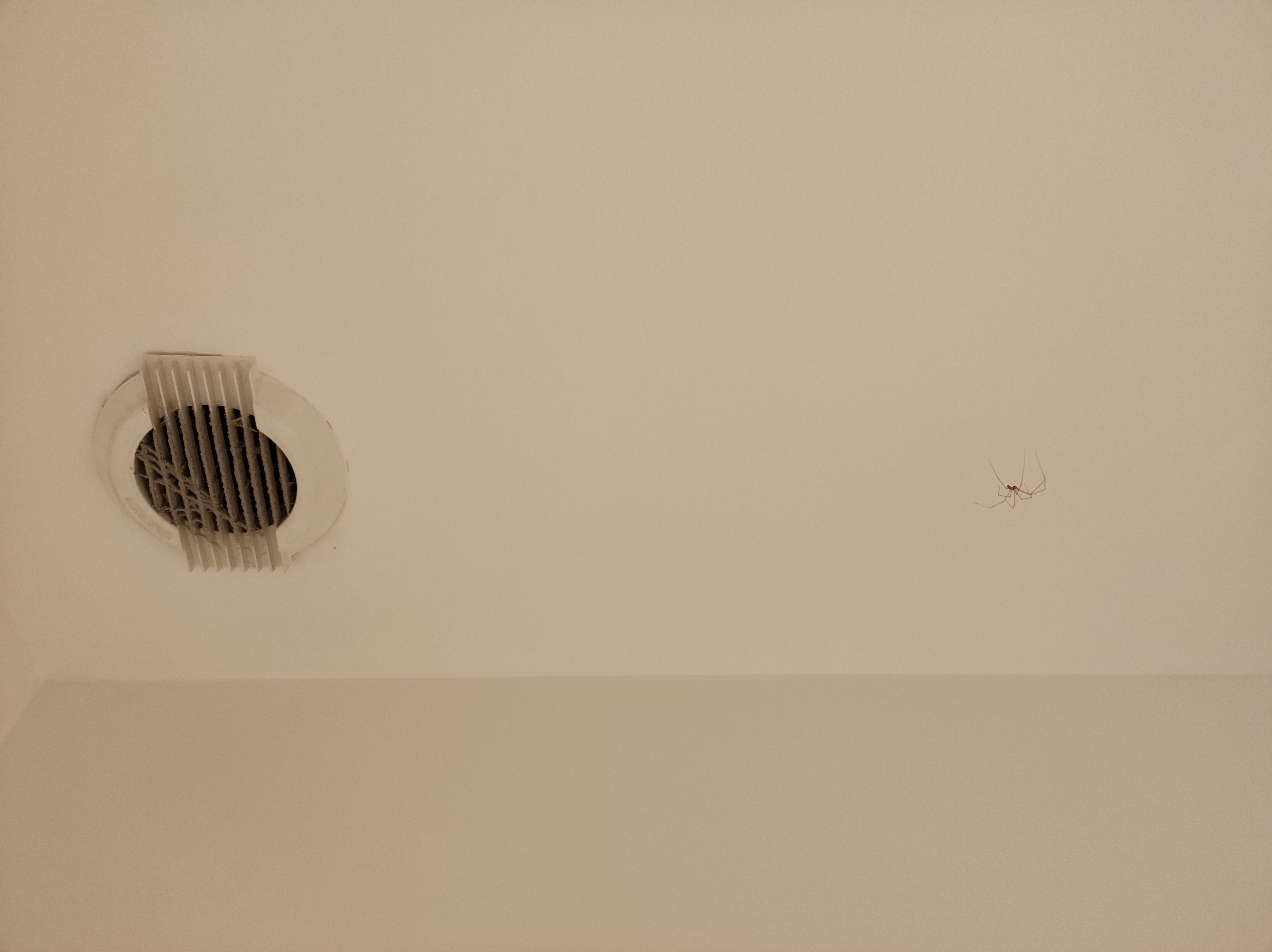 Photo n° 1 de l'avis de L.9 fait le 17/02/2022 à 11:10