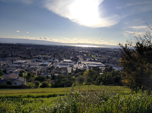 California State University, East Bay image
