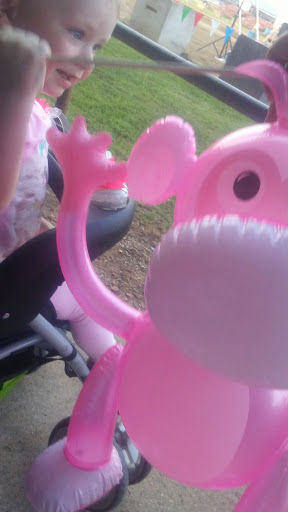 Fairground «Heart of the Ozarks Fair», reviews and photos, US Hwy 63, West Plains, MO 65775, USA