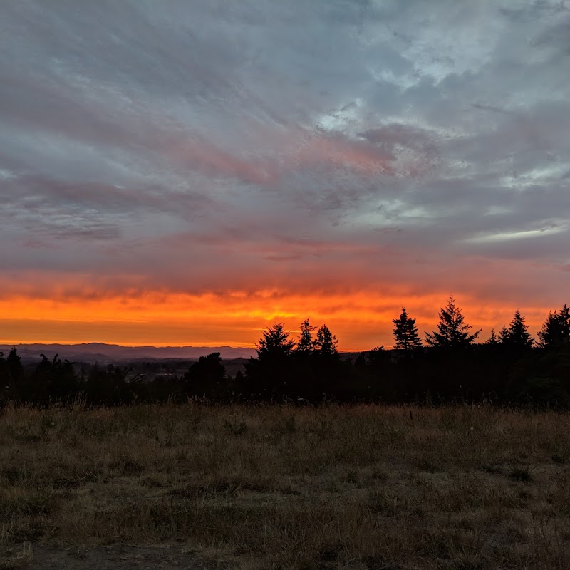 Sunrise Park (City Of Tigard park)