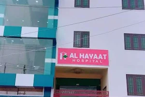 Al Hayat Maternity Laparoscopy Hospital image