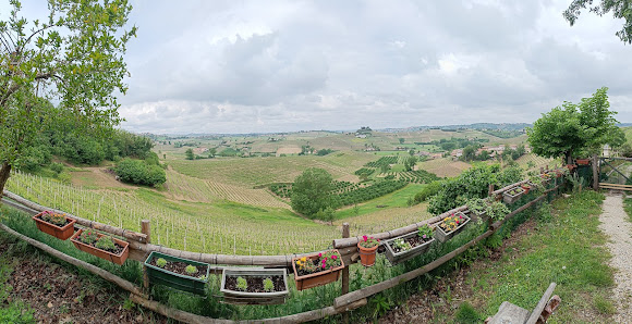 La casa del mandorlo - Patrimonio Unesco Regione Dogliani, 46, 14041 Agliano Terme AT, Italia