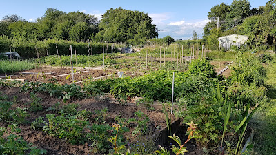 Les Jardins d'Alain à Domont
