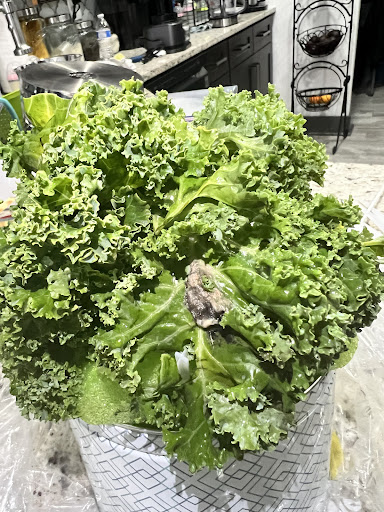 Gift Shop «Edible Arrangements», reviews and photos, 3130 Sugarloaf Pkwy, Lawrenceville, GA 30045, USA