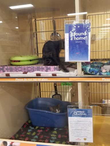 Pet Supply Store «PetSmart», reviews and photos, 6251 N Davis Hwy, Pensacola, FL 32504, USA