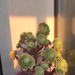 Photo n°4 de l'avis de Marta.r fait le 05/09/2023 à 11:34 sur le  Hotel il Delfino à San Vincenzo