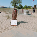Photo n°2 de l'avis de Anja.e fait le 04/06/2023 à 18:58 sur le  Strandhalle Harriersand à Schwanewede