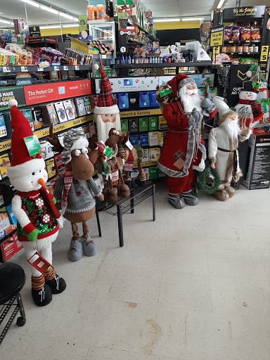 Home Goods Store «Dollar General», reviews and photos, 29619 Fm 1093 Road, Fulshear, TX 77441, USA