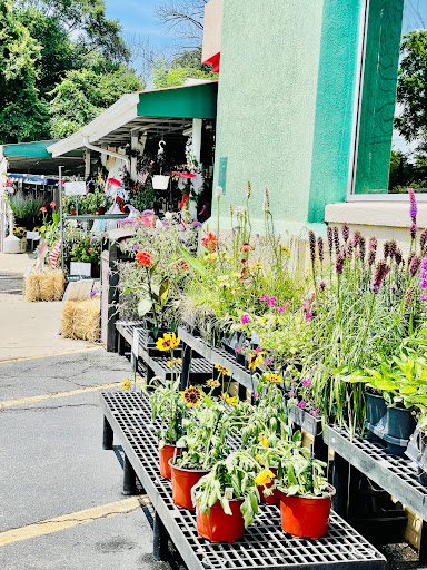 Grocery Store «New Egypt Marketplace», reviews and photos, 53 Main St, New Egypt, NJ 08533, USA