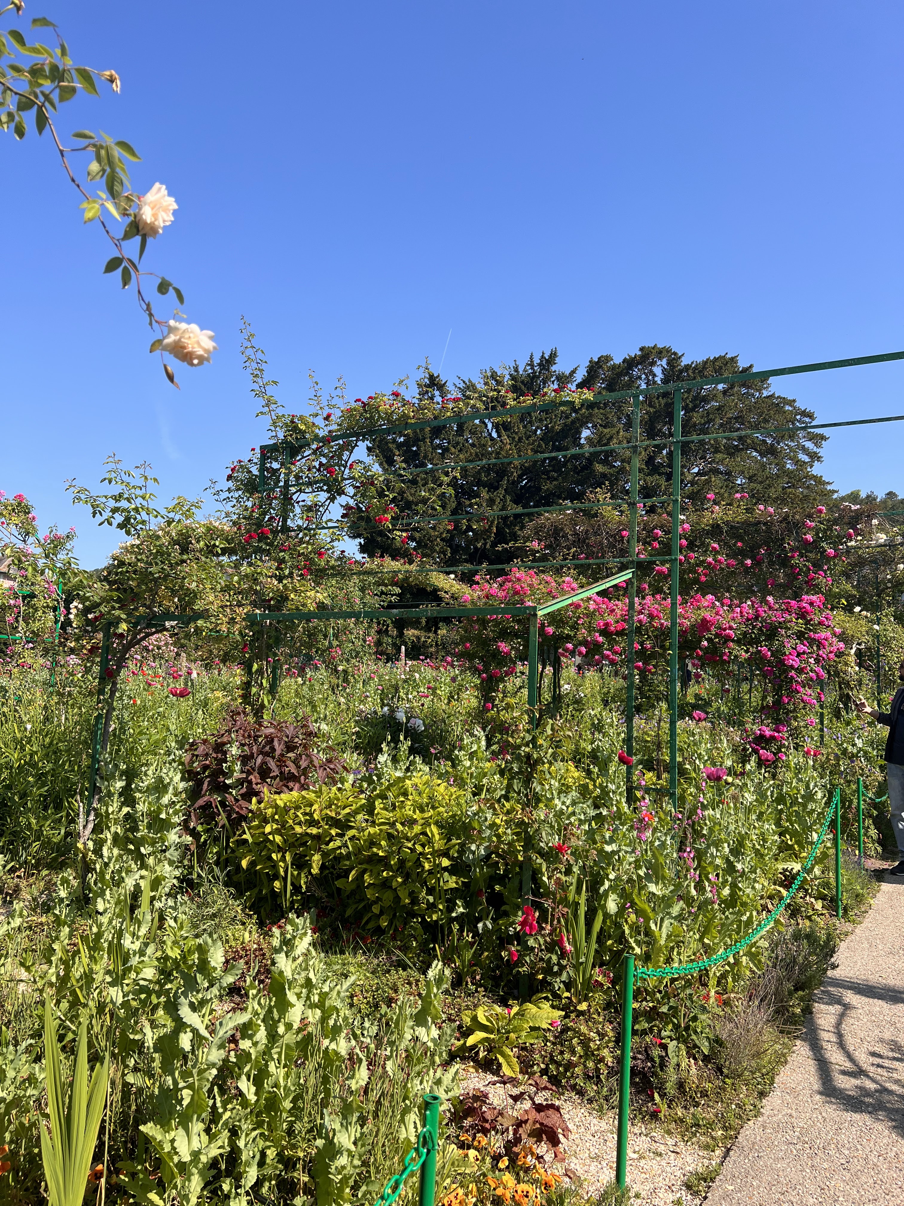 Photo n° 3 de l'avis de Wisha.k fait le 19/08/2023 à 14:30