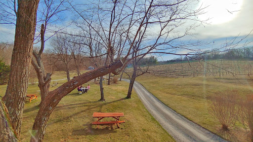 Vineyard «North Mountain Vineyard and Winery», reviews and photos, 4374 Swartz Rd, Maurertown, VA 22644, USA