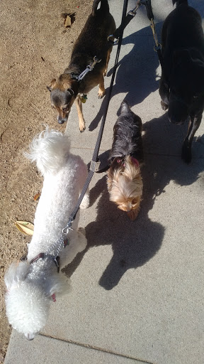 Pet Supply Store «Unleashed by Petco», reviews and photos, 1402 Wilshire Blvd, Santa Monica, CA 90403, USA