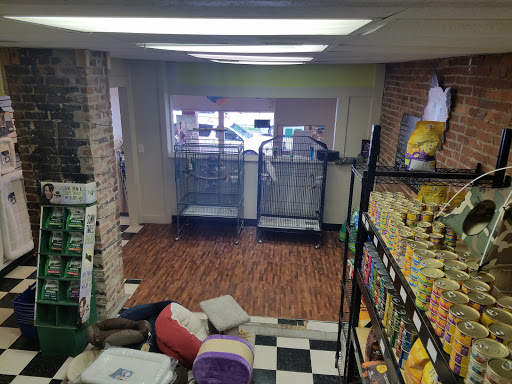 Pet Supply Store «Local Pet», reviews and photos, 415 Gettysburg St #1, Pittsburgh, PA 15206, USA