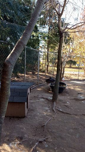 Zoo «3 Palms Zoo & Education Center», reviews and photos, 924 Blackbird Forest Rd, Clayton, DE 19938, USA