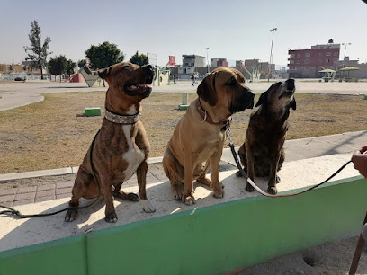 Adiestramiento Canino Ozumbilla