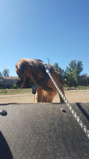 Dog Park «Grandview Dog Park», reviews and photos, 17500 E Quincy Ave, Aurora, CO 80015, USA