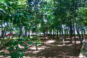 Hutan Kota Kartoharjo image