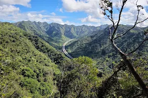 ʻAiea Loop Trailhead image