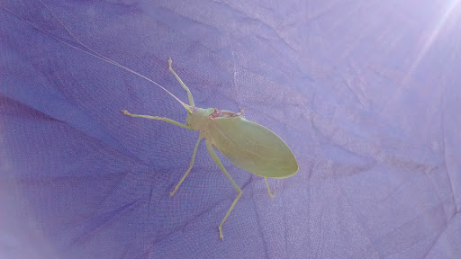 State Park «Taylorsville Lake State Park», reviews and photos, 1320 Park Rd, Mt Eden, KY 40046, USA