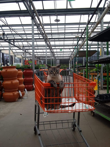Home Improvement Store «The Home Depot», reviews and photos, 2359 FL-44, New Smyrna Beach, FL 32168, USA