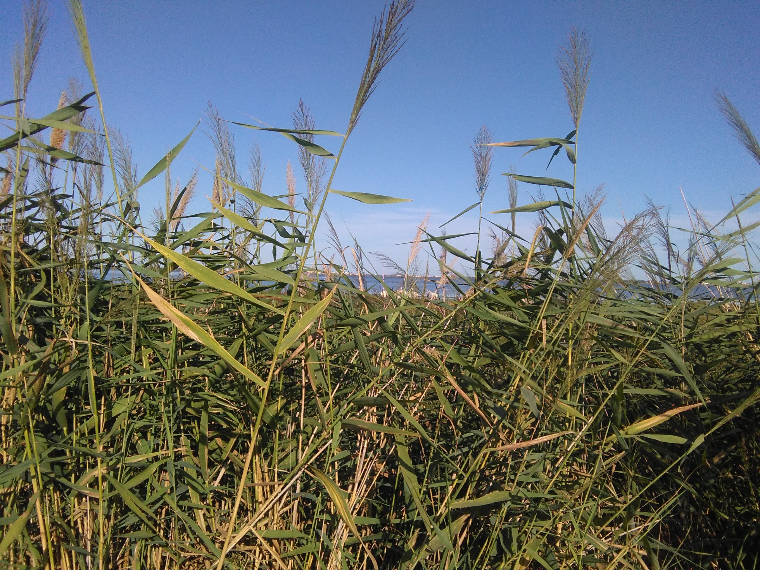 Photo n° 2 de l'avis de Gaël.U fait le 25/08/2019 à 15:07