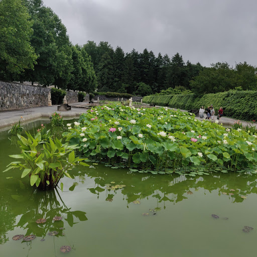Toyota Dealer «Fred Anderson Toyota of Asheville», reviews and photos, 777 Brevard Rd, Asheville, NC 28806, USA