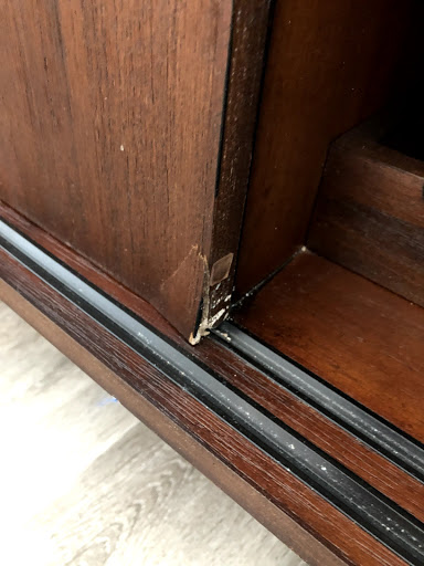 Moving Company «Unlimited Moving», reviews and photos, 932 E 124th Ave, Tampa, FL 33612, USA