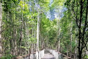 Langkawi Nature Park image