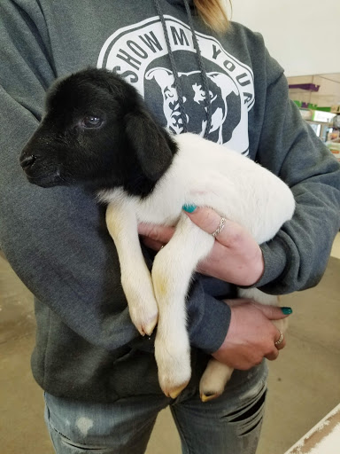 Pet Supply Store «Western Ranch & Pet Supply», reviews and photos, 103 Aegean Way, Vacaville, CA 95687, USA