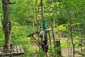 Treetop Trekking Stouffville image