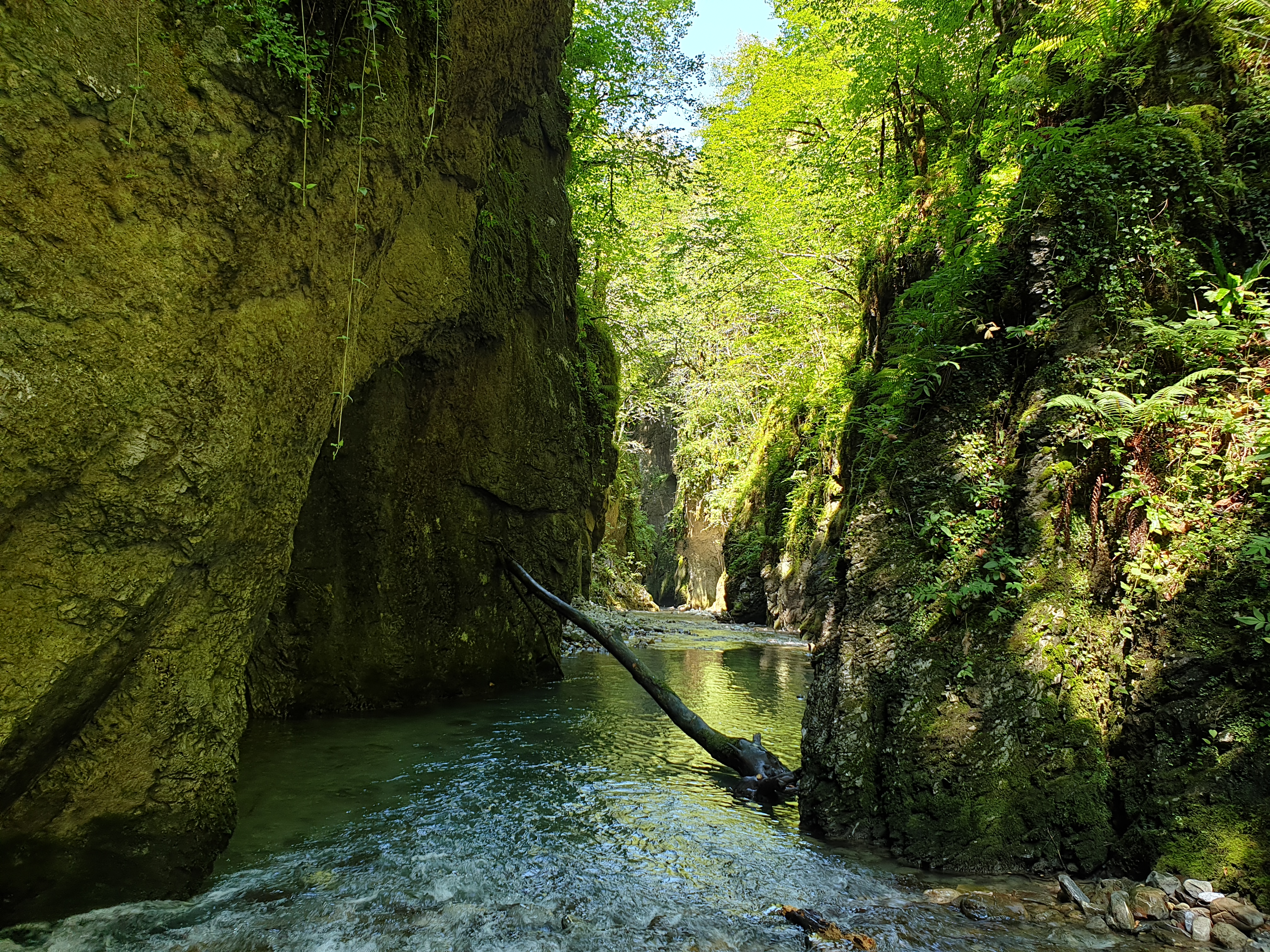 Photo n° 5 de l'avis de YAL. fait le 04/08/2019 à 07:26