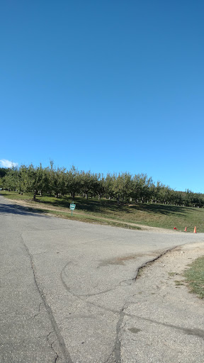 Winery «Furnace Brook Winery», reviews and photos, 508 Canaan Rd, Richmond, MA 01254, USA