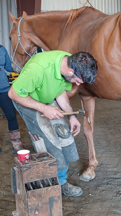 The Shoe Box Farrier Supply