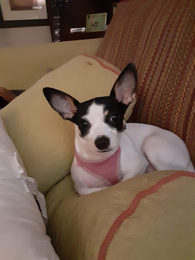 Pet Supply Store «Petco Animal Supplies», reviews and photos, 4908 Kingston Pike, Knoxville, TN 37919, USA