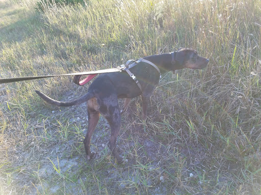 Nature Preserve «Serenova Tract», reviews and photos, 14900 Florida 52, Land O Lakes, FL 34638, USA