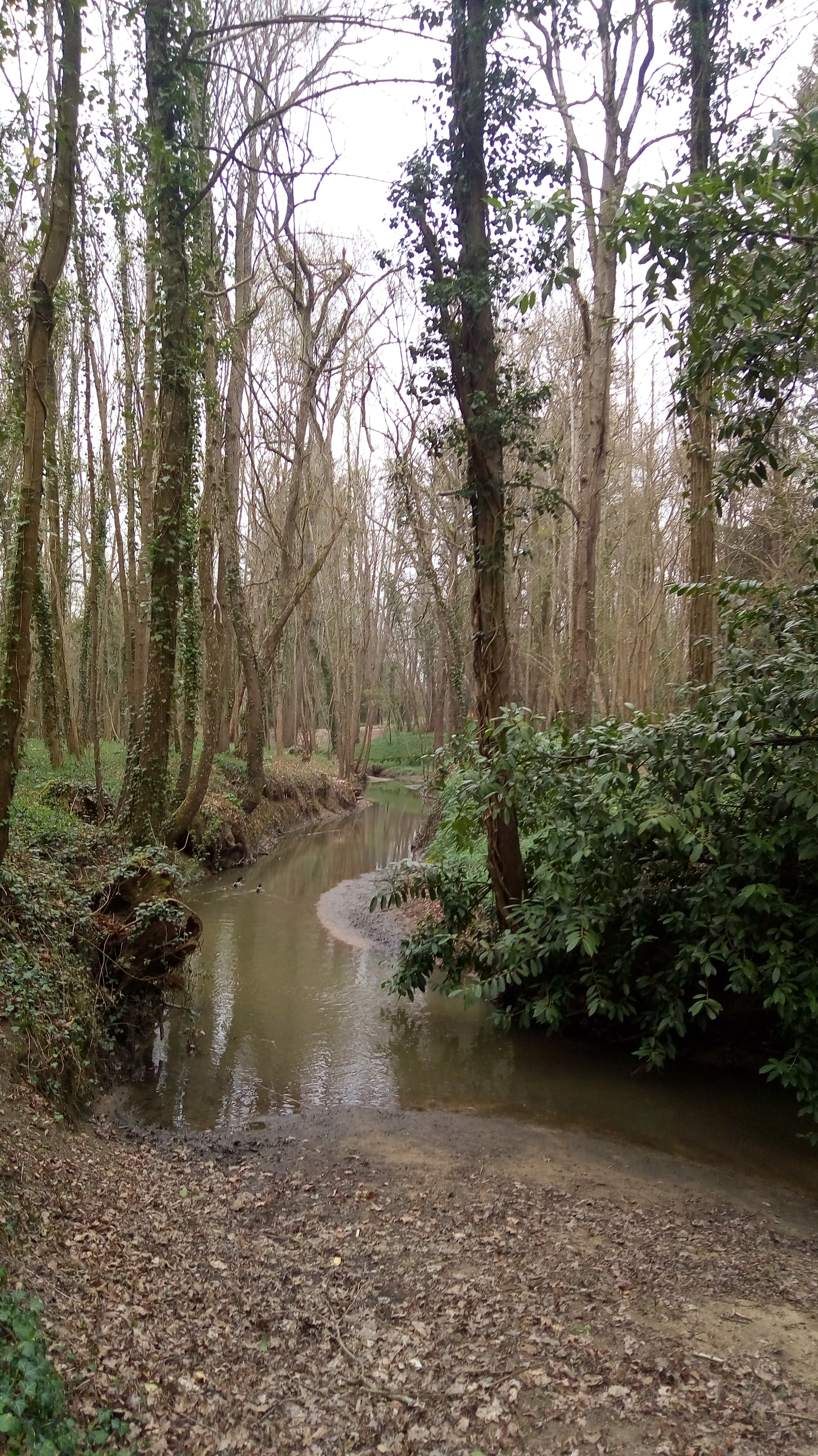 Photo n° 1 de l'avis de Laïla.H fait le 26/03/2019 à 22:01