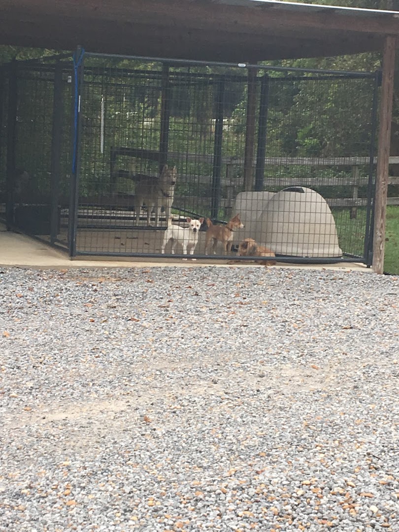 Rankin County Animal Shelter