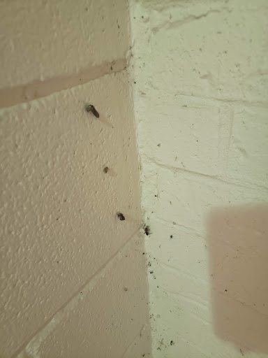 Park «Jennifer McFalls Park», reviews and photos, 1501 S Carrier Pkwy, Grand Prairie, TX 75051, USA